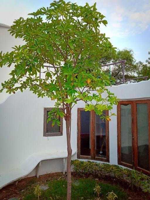 Mamta'S Home- Kensville Nanodra Экстерьер фото
