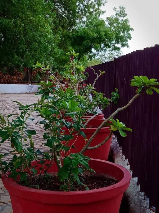 Mamta'S Home- Kensville Nanodra Экстерьер фото